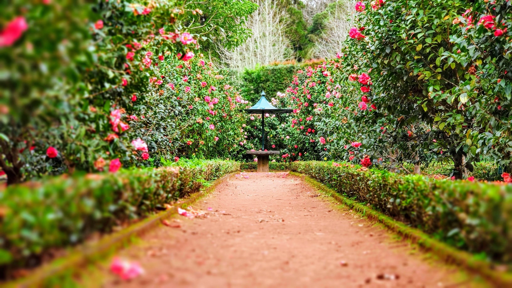 Green Garden
